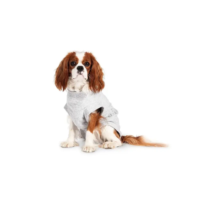 Body especial para post-cirugia perruna