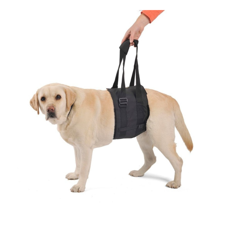 Arnés para elevación de perros discapacitados, ayuda a caminar, color negro