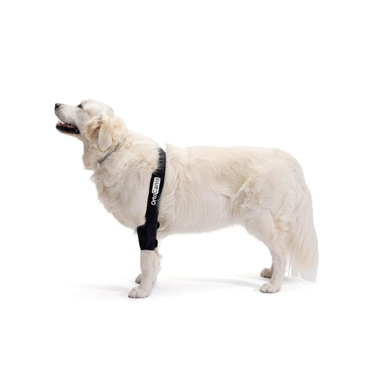 Codera color negro, soporte para perros