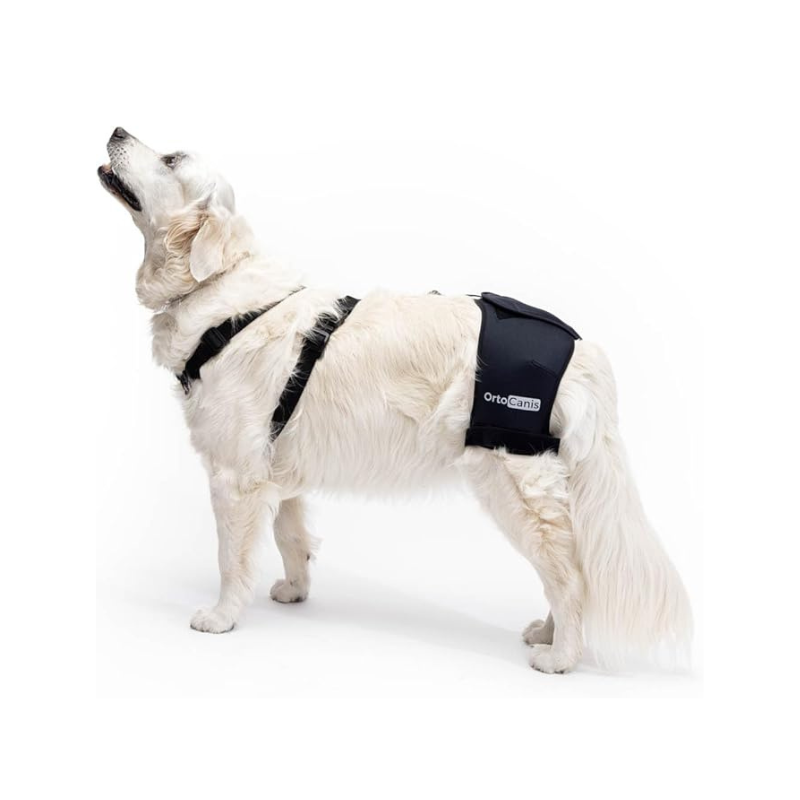 Soporte de cadera para perro, especialmente con problemas de cadera o artrosis, color negro