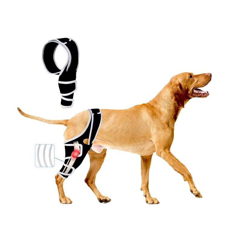 Rodilleras para perro para la pierna trasera, color negro