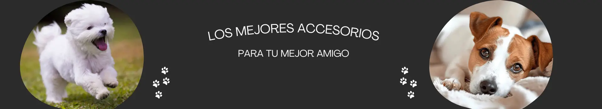 Banner informativo con imagen de cachorro de Jack Russel y bichon maltés