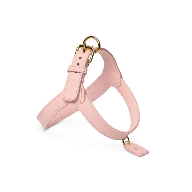 Arnés rosa simple ajustable